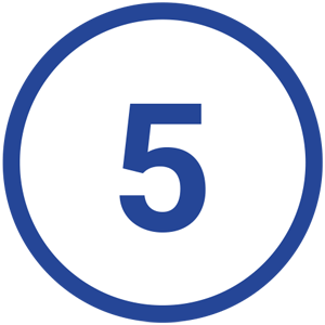 Number 5 Icon