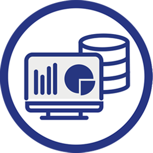 Online Data Provision Icon