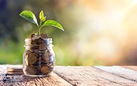 Image of small plant growing from a glass jar containing coins