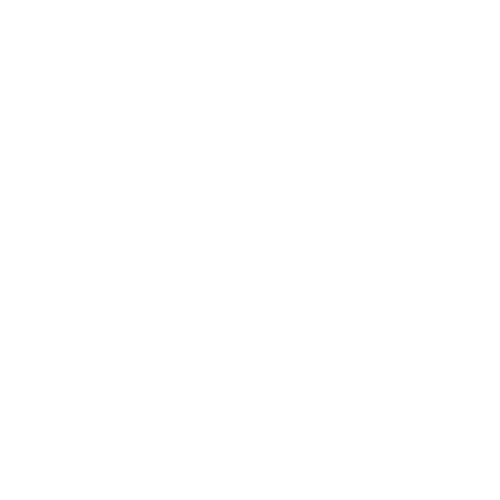 Search Icon